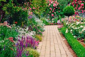 PLANT. NUTURE. BLOOM…